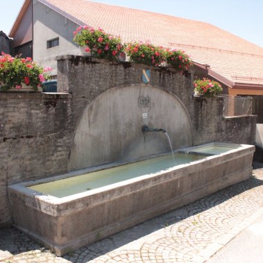 Vie pratique et locale